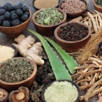 Disabilities with Ayurveda, Plano