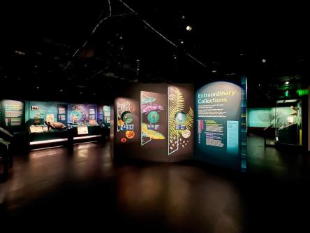 John Murray Productions, Inc., Oakland