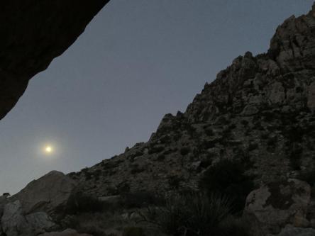 Anyone wanna go on a hike Literally., Las Vegas