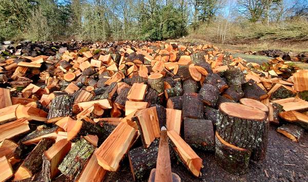 Local firewood bank needs volunteers (Washington County)