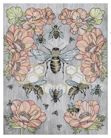 Illustrator Hilary Glass exhibiting at Artisans Hand during Art Walk (Montpelier)