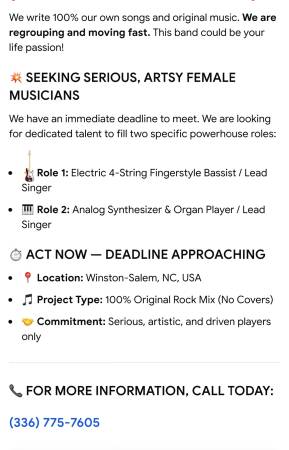BAND ROCKMIX Seeking ArtsyFemale Bass guitar and SynthesizerMusicians