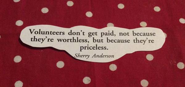 Volunteers needed at Ferret Rescue (Acworth)