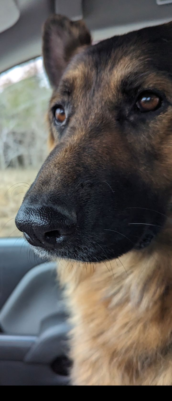 Curvy 💋 Erotic ❤ Juicy 😘