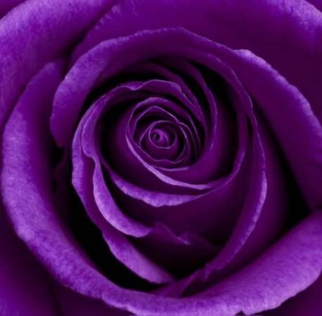 ASMR MASSAGE THERAPY (Pasadena)