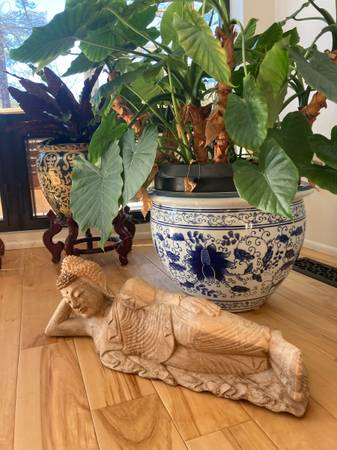 Relax full body massage (Huntsville)