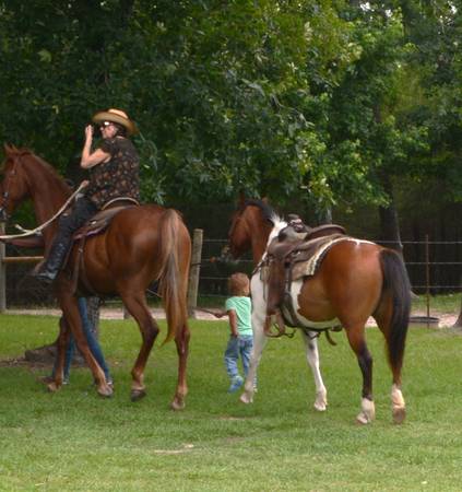 ## Volunteer Horse Program Help Wanted ### Hands-On Horse Internship (Broken Arrow)