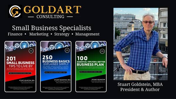 BUSINESS PLAN EXPERT / VIRTUAL CFO (Buffalo)