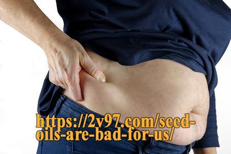 Why is it so Hard to Lose Weight, Miami