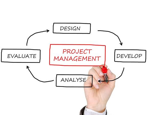 3/5: Introduction to Project Management Course (Phoenix)