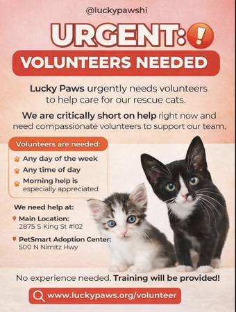 VOLUNTEERS NEEDED – the kitties need you (Honolulu)