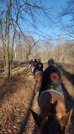 Volunteers Wanted Horse Farm Work For Lessons and Trail Riding (RANDALLSTOWN)